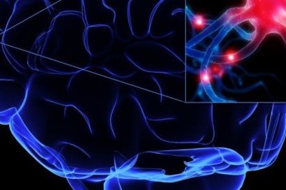 Chỉ số TFRC có nghĩa là gì?